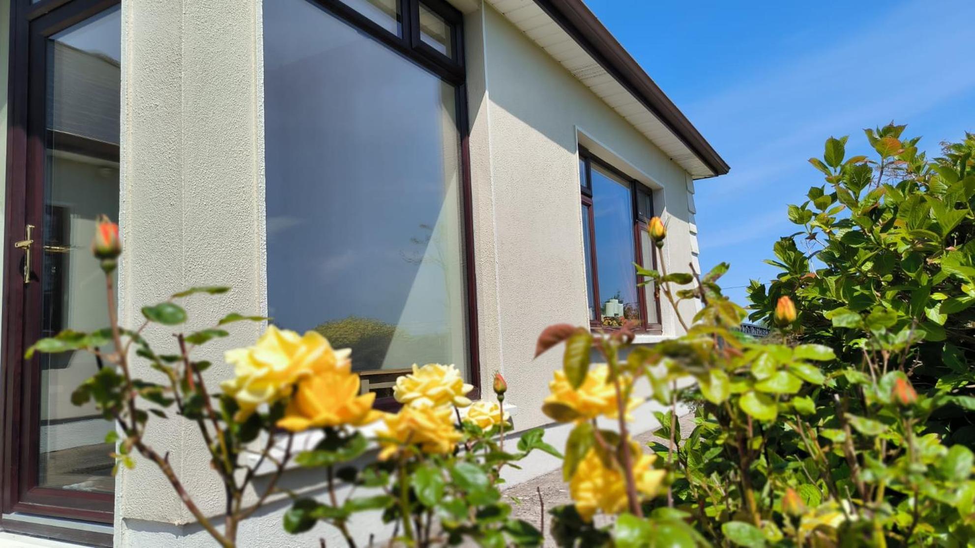 Swinford Country House Dış mekan fotoğraf