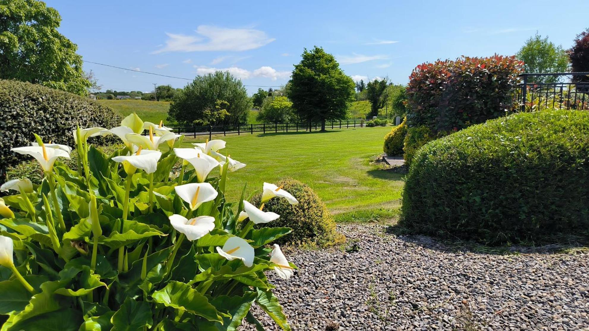 Swinford Country House Dış mekan fotoğraf