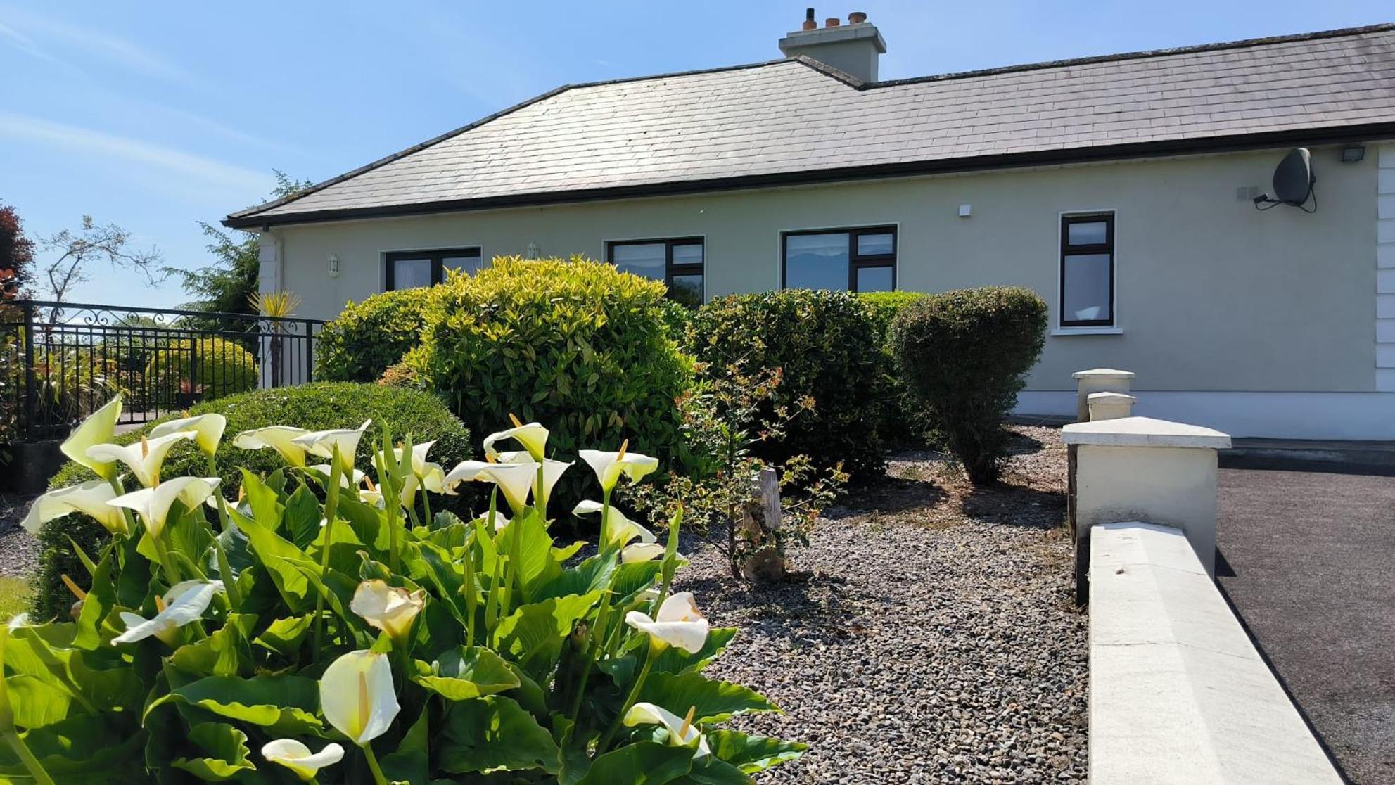 Swinford Country House Dış mekan fotoğraf